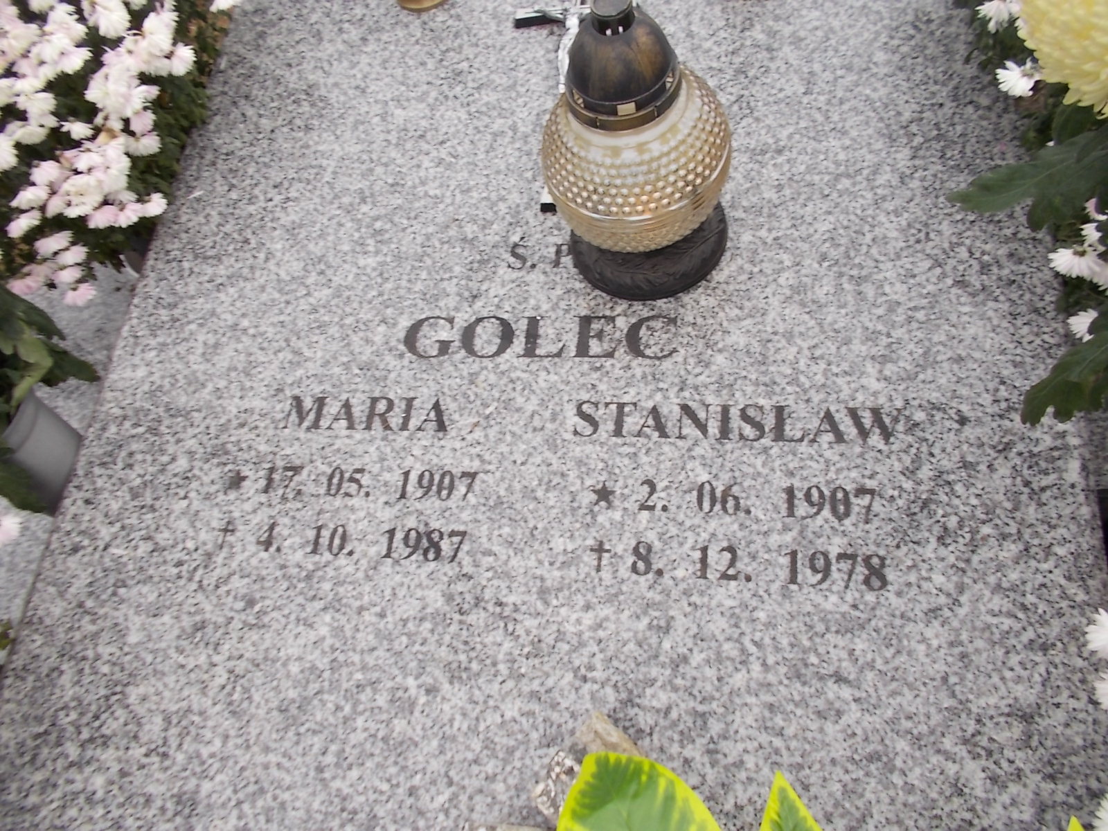 Stanisław Golec 1907 Człuchów Miasto - Grobonet - Wyszukiwarka osób pochowanych