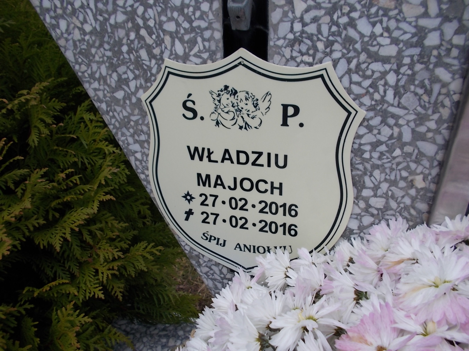 Maria Zofia Majoch 1948 Człuchów Miasto - Grobonet - Wyszukiwarka osób pochowanych