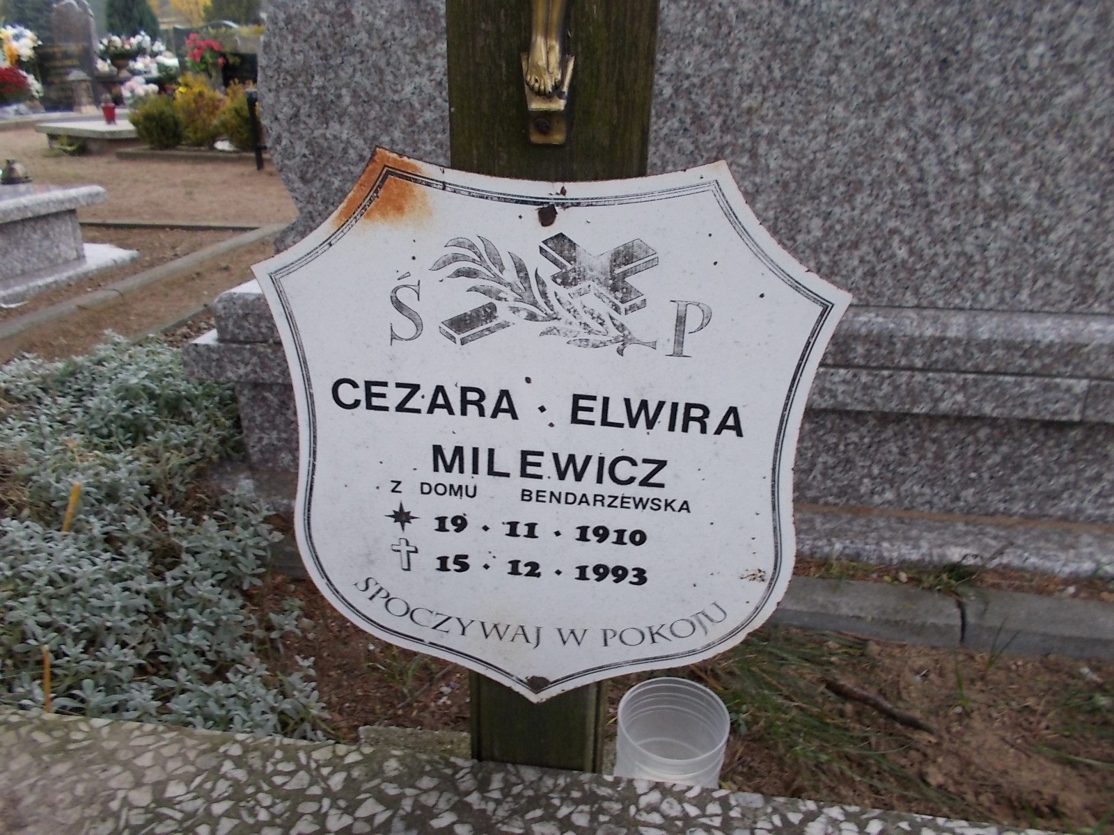 Cezara Elwira Milewicz 1900 Człuchów Miasto - Grobonet - Wyszukiwarka osób pochowanych