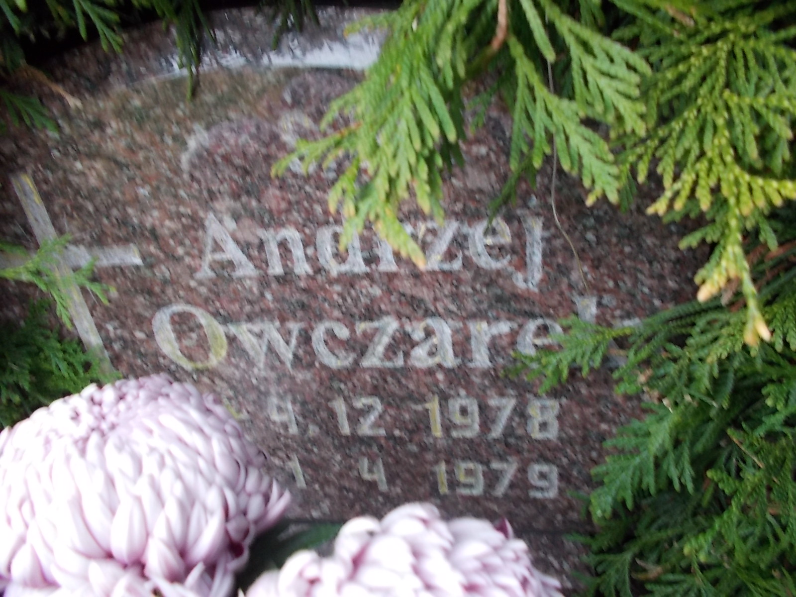 Andrzej Owczarek 1978 Człuchów Miasto - Grobonet - Wyszukiwarka osób pochowanych