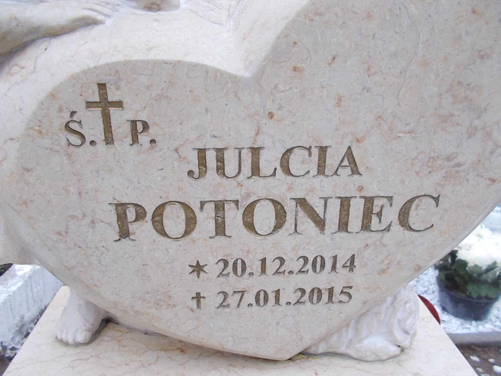 Julia Potoniec 2014 Człuchów Miasto - Grobonet - Wyszukiwarka osób pochowanych