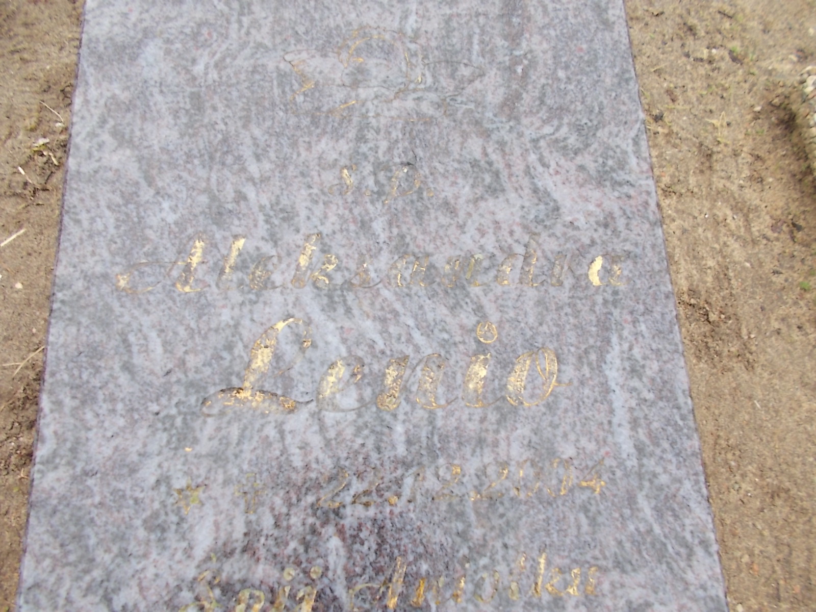 Aleksandra Lenio 2004 Człuchów Miasto - Grobonet - Wyszukiwarka osób pochowanych