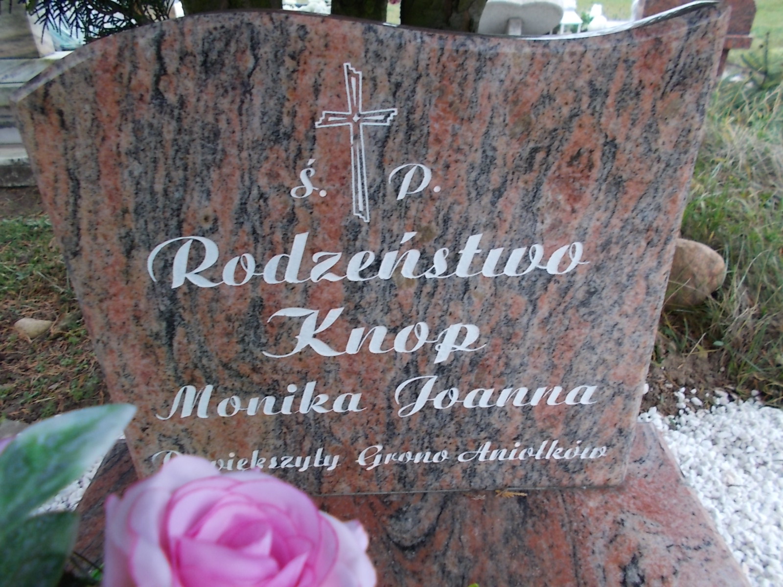 Monika Knop 1986 Człuchów Miasto - Grobonet - Wyszukiwarka osób pochowanych