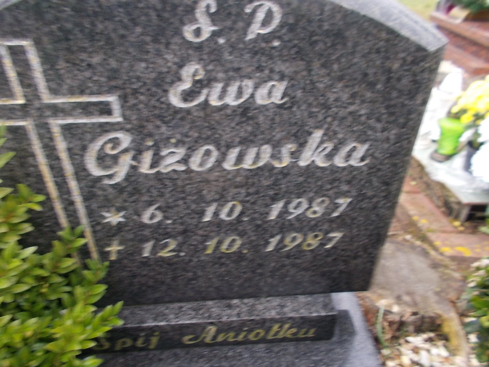 Ewa Giżowska 1987 Człuchów Miasto - Grobonet - Wyszukiwarka osób pochowanych