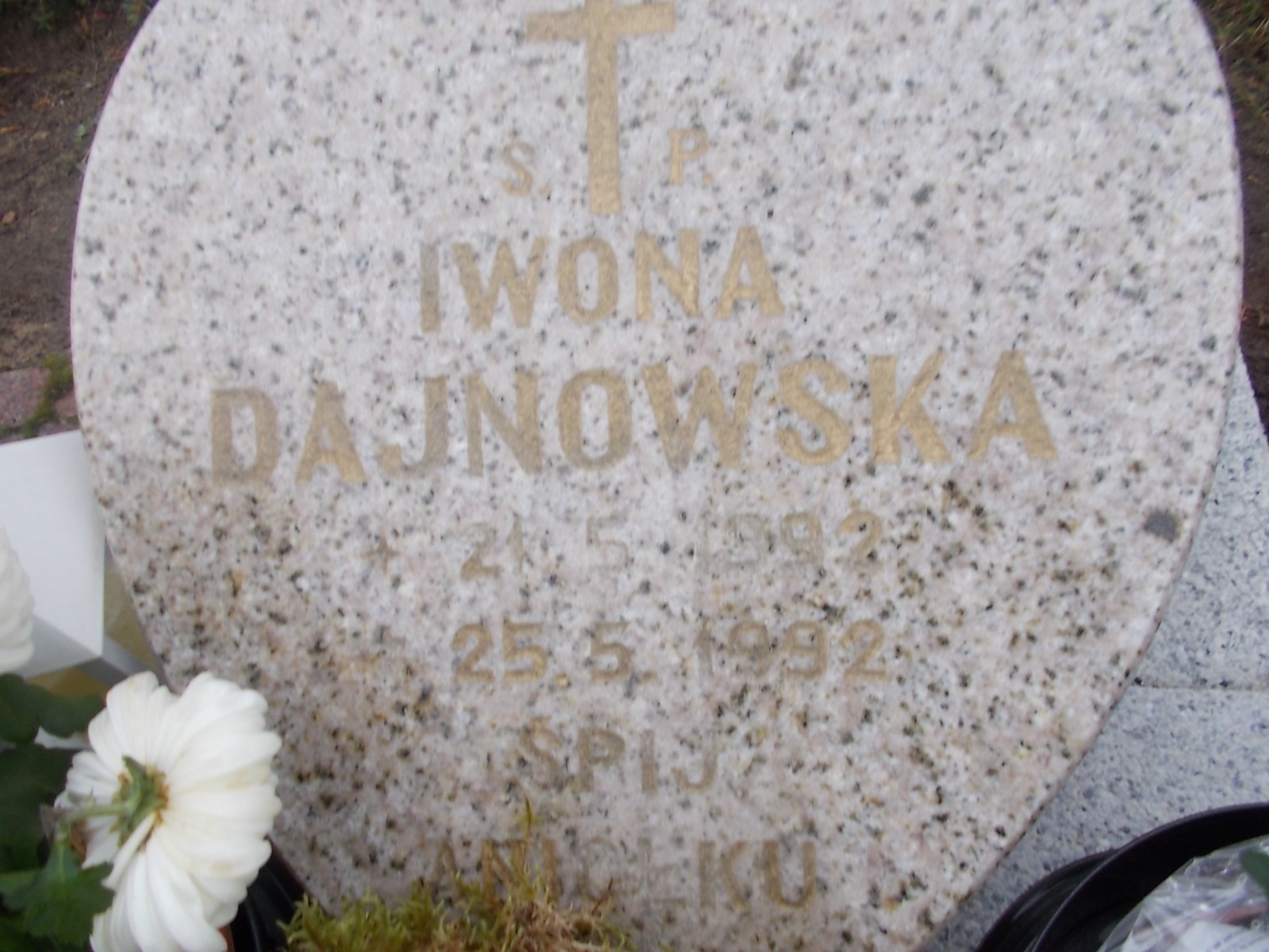 Iwona Dajnowska 1992 Człuchów Miasto - Grobonet - Wyszukiwarka osób pochowanych