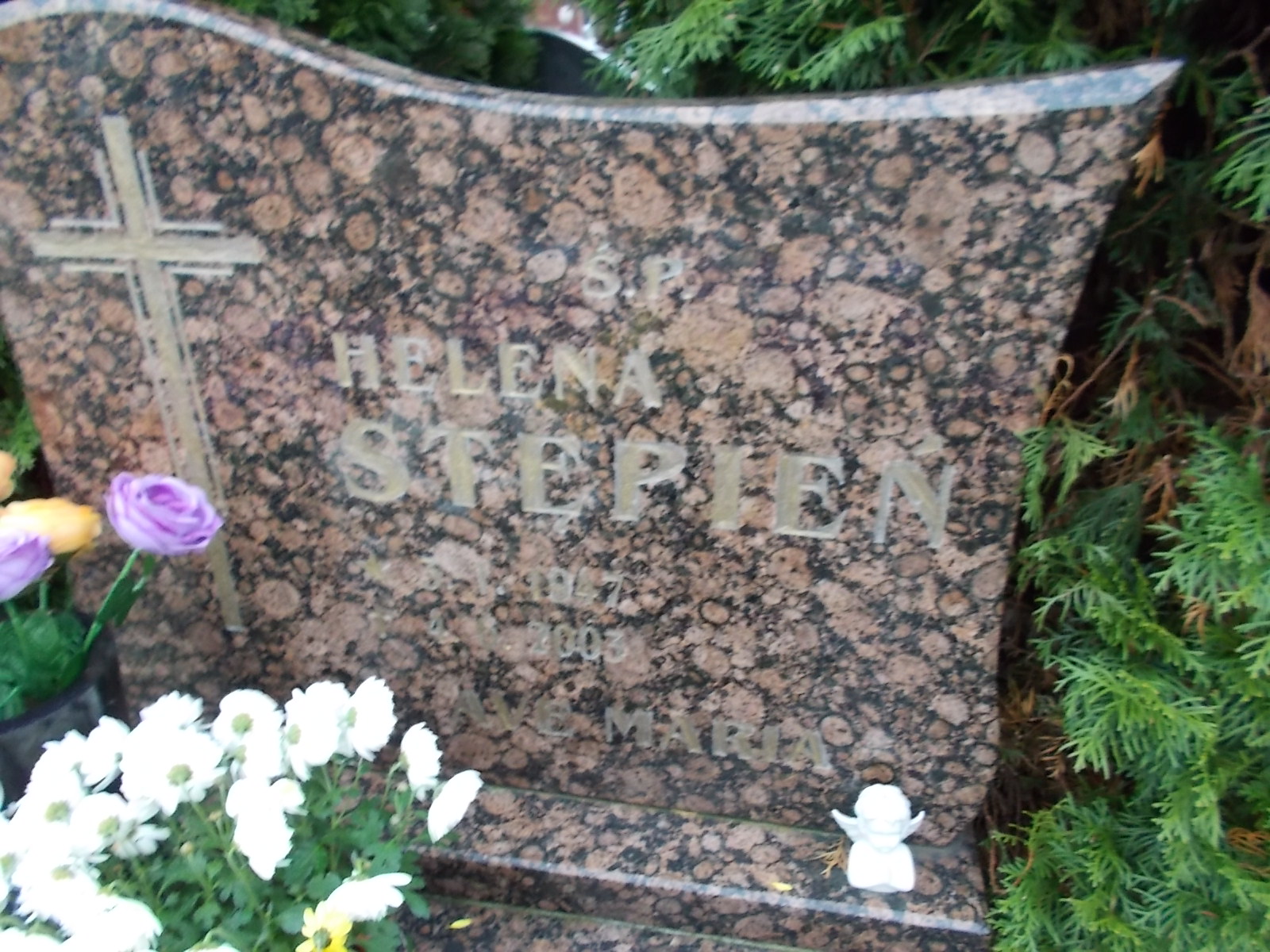 Adam Stępień 1948 Człuchów Miasto - Grobonet - Wyszukiwarka osób pochowanych