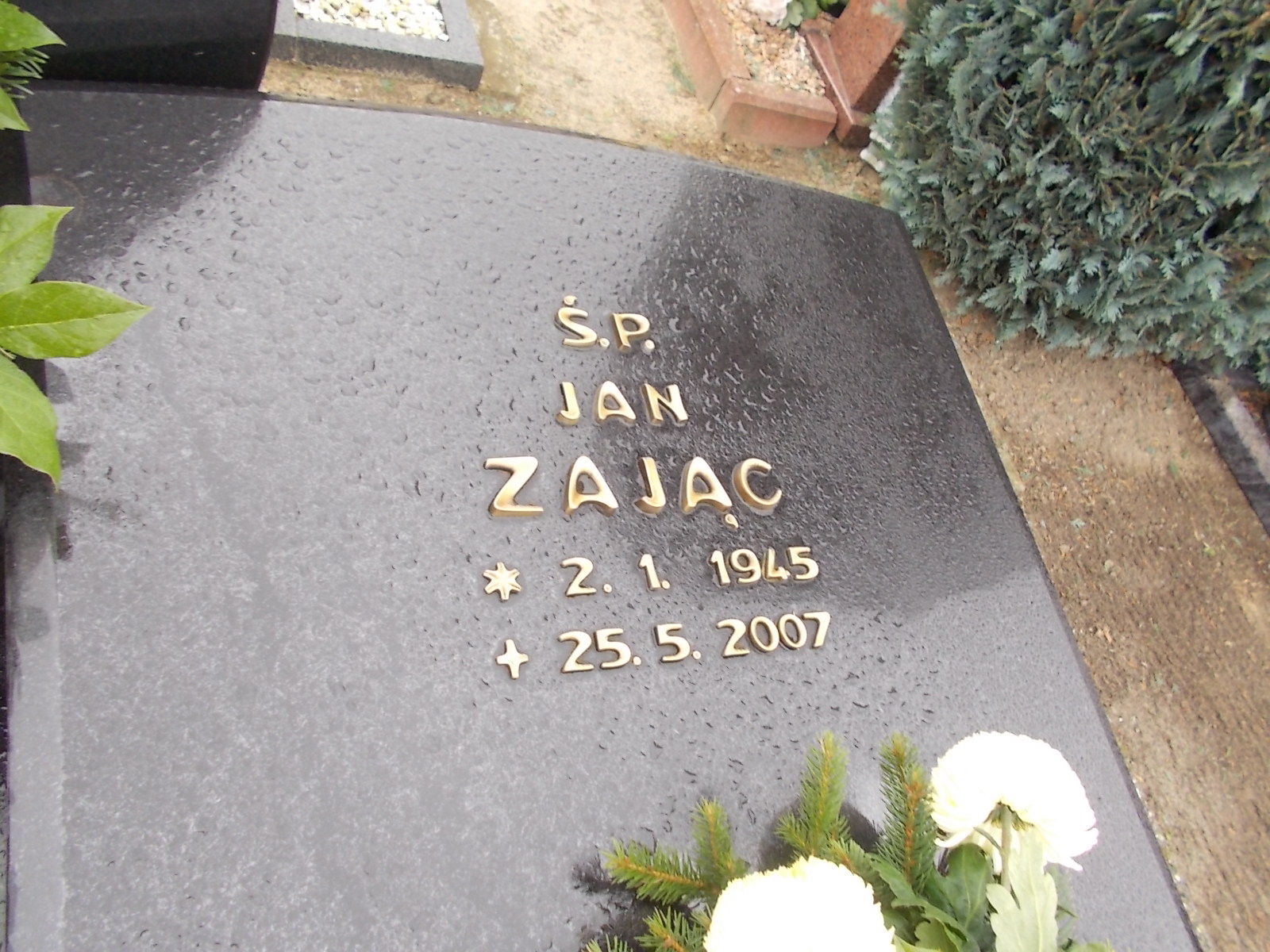 Zdjęcie grobu