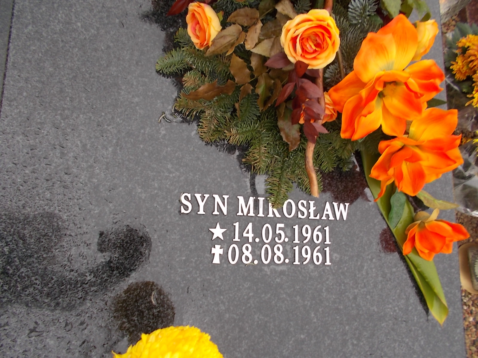 Regina Adamska 1927 Człuchów Miasto - Grobonet - Wyszukiwarka osób pochowanych