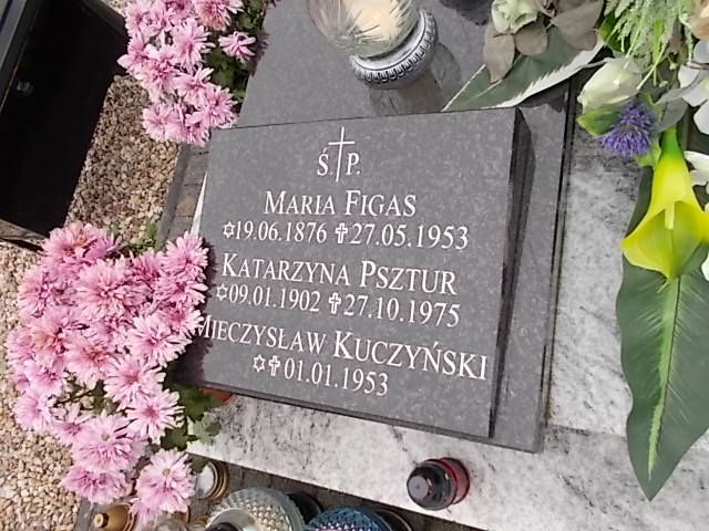 Aleksander Ferenc 1950 Człuchów Miasto - Grobonet - Wyszukiwarka osób pochowanych